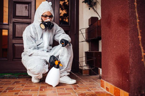 Reliable Ant Control contractor in Jasmine Estates, FL by Show Me Pest Control